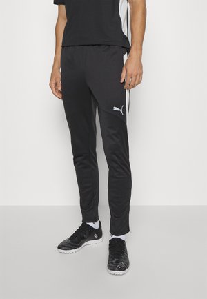 Puma INDIVIDUAL WINTERIZED PANTS - Pantalones deportivos - black/dark coal