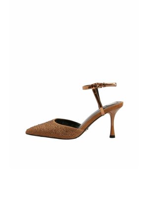 Brown suede stiletto shoe with pointed toe, embellished with rhinestones. Features a thin ankle strap and a glossy metal heel.