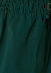 Gröna lätta shorts med elastisk midja och dragsko. Har en strukturerad tyg med subtil glans. Sidoficka synlig.