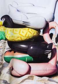 Naskládané nafukovací plavecké pomůcky v různých barvách: růžový plameňák, žlutý ananas, černý tučňák a bílá labuť, s hladkými, lesklými texturami.