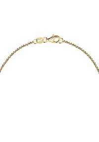 Zarte Goldkette mit kleinen runden Gliedern und einem Karabinerverschluss auf einem weißen Hintergrund.