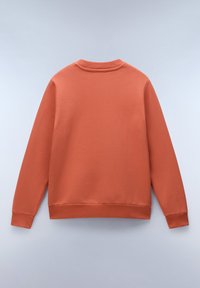 Terracotta sweatshirt, ronde hals, lange mouwen, ribgebreide manchetten en zoom, zacht katoen materiaal, gladde textuur, minimalistisch ontwerp, effen kleur.