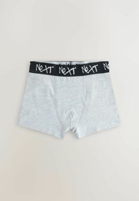 Next 5 PACK  - Onderbroeken - neutral multi colour