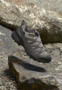 Niewybrane, paloma/dark gull gray/bog