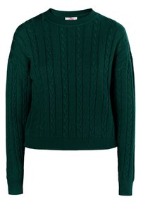 Maglione verde lavorato a maglia con collo rotondo, caratterizzato da un motivo a treccia e polsini e orlo a costine. Nessun dispositivo di chiusura visibile.