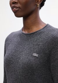 Maglione grigio a maglia con collo rotondo e delicati dettagli a coste, caratterizzato da un piccolo logo ricamato sul lato sinistro del petto.