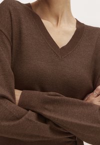 Maglione marrone con scollo a V, polsini e collo a coste, caratterizzato da una trama morbida e da dettagli di cucitura intricati lungo il collo.