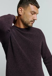 NO EXCESS CREWNECK - Trui - aubergine