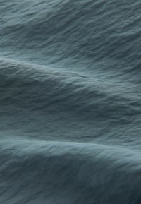 Next LONG SLEEVE - Camicetta - steel blue
