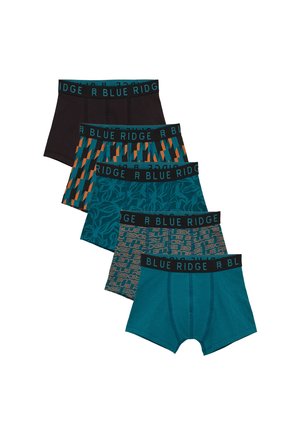 WE Fashion 5 PACK - Panties - green blue