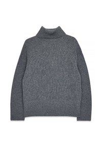 TURTLENECK - Neule - dark grey