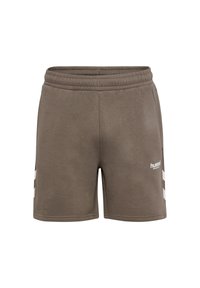 Bruna sportshorts i mjukt tyg, med elastisk midjeresår och vita sidostrippar samt en logotyp på nedre framsidan.