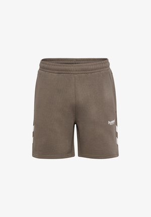 Braune Sportshorts aus weichem Stoff, mit elastischem Bund und weißen seitlichen Streifen sowie einem Logo auf der unteren Vorderseite.