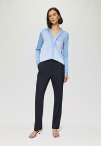 Hellbluse mit langen Ärmeln und V-Ausschnitt, elegantes Design, kombiniert mit schwarzen maßgeschneiderten Hosen und silbernen, geschnallten Absatzschuhen.