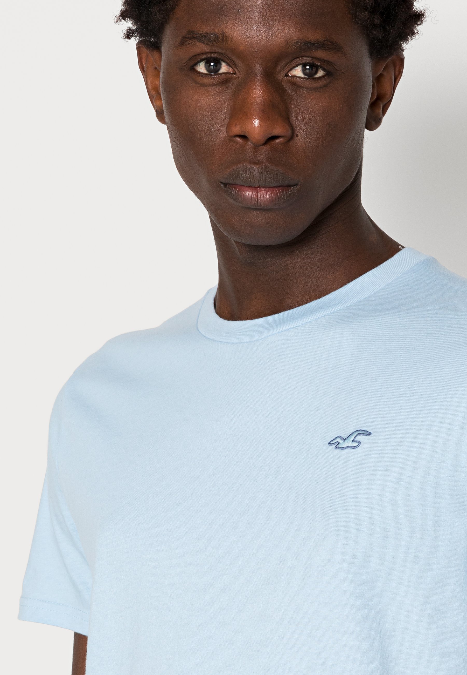 Hollister Co. CREW ICON SOLIDS - Basic 