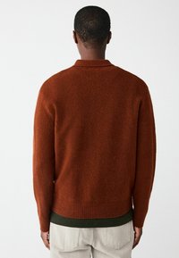 Brown, textured knit sweater with a collar and ribbed hem, worn over a dark green shirt. Back view shows relaxed fit and long sleeves.