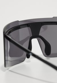 Nike Sportswear ECHO SHIELD UNISEX - Slnečné okuliare - black/silver flash