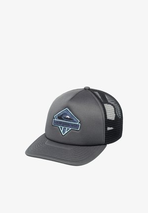 Grijze pet met een gebogen rand, mesh achterkant en geborduurd blauw logo in de vorm van een oog. Heeft een gestructureerd ontwerp en een textured stof.