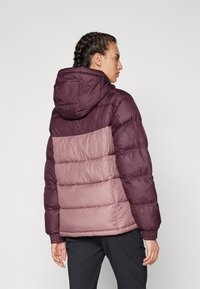 Columbia PIKE LAKE™ II INSULATED JACKET - Zimní bunda - moonvista/fig