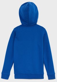 Modrá mikina s kapucí a dlouhými rukávy, měkká textura, žebrované manžety a spodní lem. Hladký, nezdobený zadní díl bez vzorů nebo grafik.