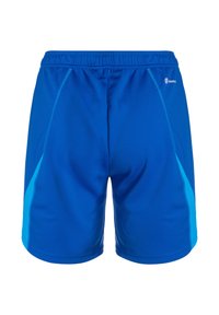 Blaue sportliche Shorts aus glattem Material, mit einem bequemen elastischen Bund und kontrastierenden hellblauen Seitenflächen.