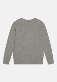 Felpa grigia a girocollo, con polsini e orlo a costine. Realizzata in morbido tessuto, con una texture liscia e uniforme. Senza decorazioni.