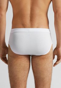 Vita kalsonger med en slät textur, elastiskt midjeband och måttlig täckning, som bärs av en person bakifrån.