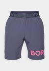 SHORTS - Sports shorts - odyssey gray