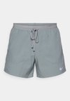 M NK DF STRIDE 5IN BF SHORT - Спортни шорти - smoke grey/reflective silver-coloured