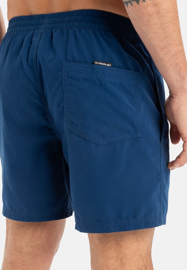 EVERYDAY VERT VOLLEY 16 - Swimming shorts - bsw4