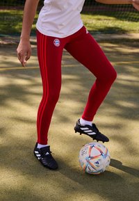 adidas Performance FC BAYERN M�NCHEN WMN TIGHT - Klubbklær - team power red