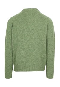 Groen gebreid sweater met een ronde halslijn, lange mouwen en een geribde zoom, met een structuurtextuur en zacht materiaal.