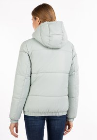 Giacca imbottita verde chiaro con cappuccio, caratterizzata da un design trapuntato, polsini e vita elasticizzati. Texture liscia e forma moderna.