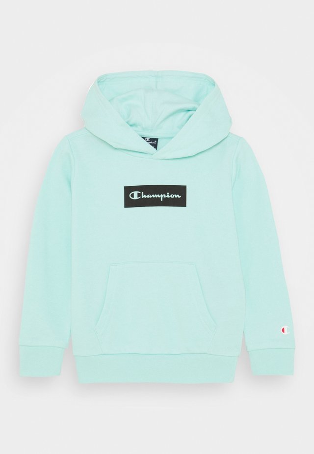 AMERICAN PASTELS HOODED UNISEX - Collegepaita - light blue