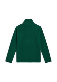 Groene fleece trui met een hoge kraag, lange mouwen, een gladde textuur en geen zichtbare bevestigingen of patronen, gezien van achteren.