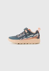 Sneaker grigio scuro e pesco realizzato in tessuto Gore-Tex, con strap in Velcro e suola spessa, progettato per resistere alle intemperie e per l'uso all'aperto.