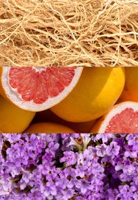 Racines sèches avec une texture fine et emmêlée, pamplemousse jaune coupé en deux révélant une pulpe rose, et grappes de petites fleurs violettes.