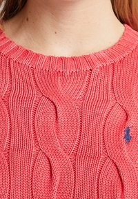 Polo Ralph Lauren Stickad tröja - red