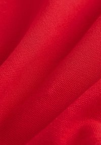 Tela roja con una textura suave, que presenta un tejido apretado. El material parece ligeramente brillante, con pliegues sutiles que crean profundidad.