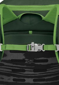 Osprey JET WANDER - Mochila de trekking - green canopy limeline green