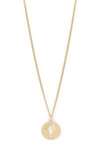 Collier doré avec une fine chaîne et un pendentif rond arborant un motif d'arbre découpé, mettant en valeur un intérieur en argent poli.