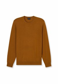 Brauner Strickpullover mit Rundhalsausschnitt und langen Ärmeln. Weiche Textur, gerippte Bündchen und Saum. Keine Muster oder zusätzlichen Details.