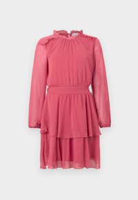 Izbrano, holly berry