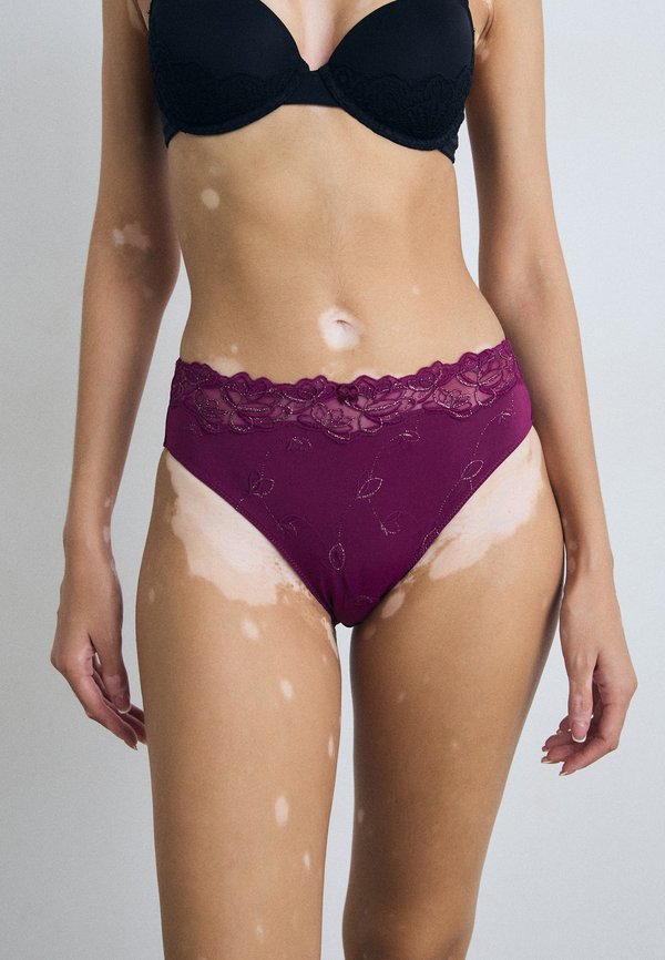 DIVA RIO - Briefs - magenta purple