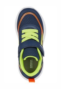 Geox SPRINTYE - Zapatillas - navy lime