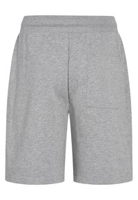 Redefined Rebel OLIVER - Træningsbukser - light grey melange