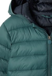 Gestepptes grünes Jackett mit Reißverschluss auf der Vorderseite, Kapuze und genähtem Paneeldesign. Glatte Textur mit kontrastierendem dunklem Innenfutter.