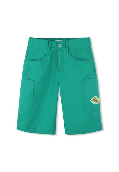 Shorts verts en coton, avec deux poches avant, une poche latérale et un patch logo sur le côté. Texture lisse, coupe droite.