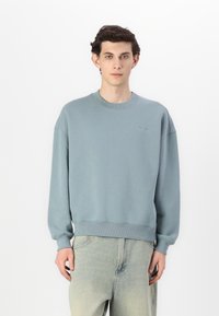 Lichtblauw sweatshirt met ronde hals, gemaakt van zachte stof met ribgebreide manchetten en onderrand. Eenvoudig ontwerp met subtiele branding op de borst.