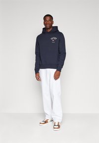 Tommy Hilfiger ARCHED VARSITY HOODY - Felpa - desert sky